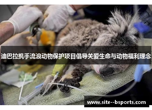 迪巴拉携手流浪动物保护项目倡导关爱生命与动物福利理念 迪巴拉携手流浪动物保护项目倡导关爱生命与动物福利理念