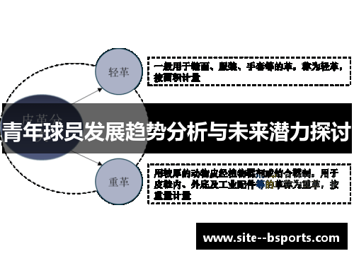 青年球员发展趋势分析与未来潜力探讨 青年球员发展趋势分析与未来潜力探讨