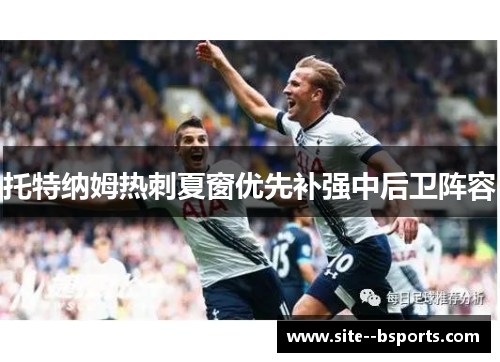 托特纳姆热刺夏窗优先补强中后卫阵容