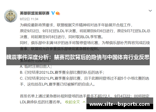 魏震事件深度分析：禁赛罚款背后的隐情与中国体育行业反思
