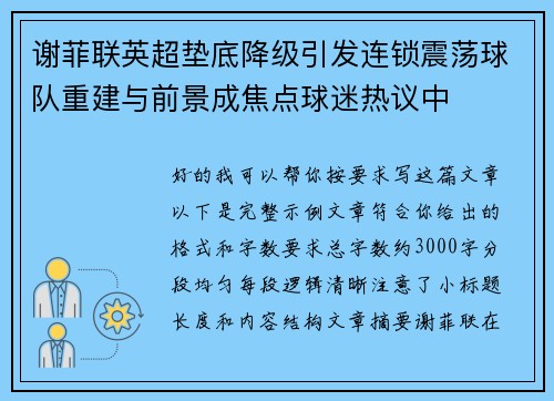 谢菲联英超垫底降级引发连锁震荡球队重建与前景成焦点球迷热议中