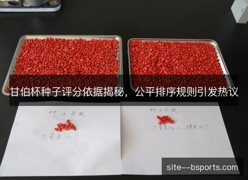甘伯杯种子评分依据揭秘,公平排序规则引发热议 甘伯杯种子评分依据揭秘,公平排序规则引发热议